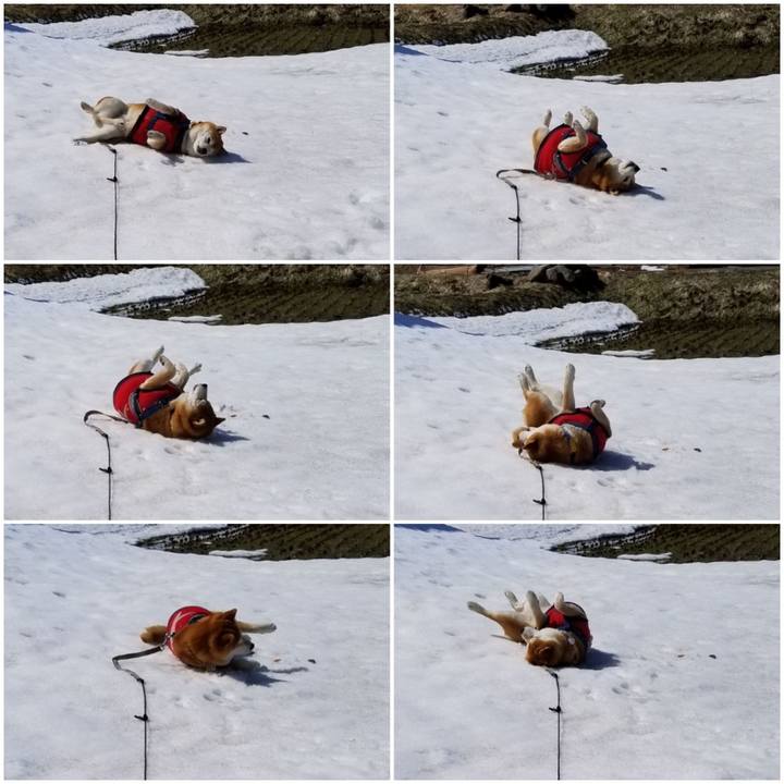 Ed7432be ebd5 460f 9896 2dd55313c619 1552877137957