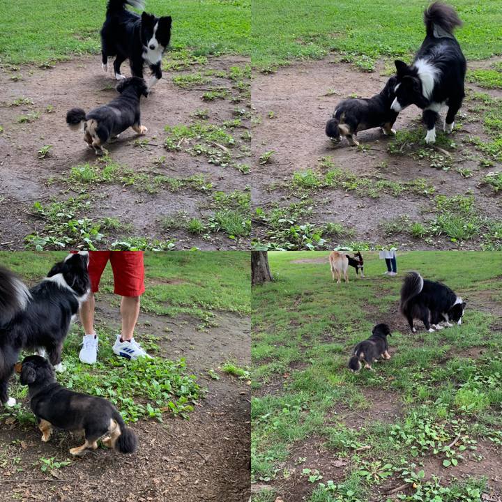 Ed744364 bd37 4a81 bdf6 c548066f3d0c 1563226939002