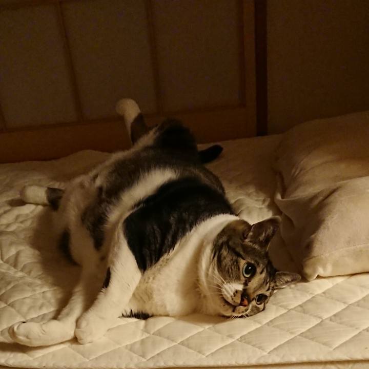 Ed744a81 2f02 4074 bab0 6d8e5f703ab6 1559046687207