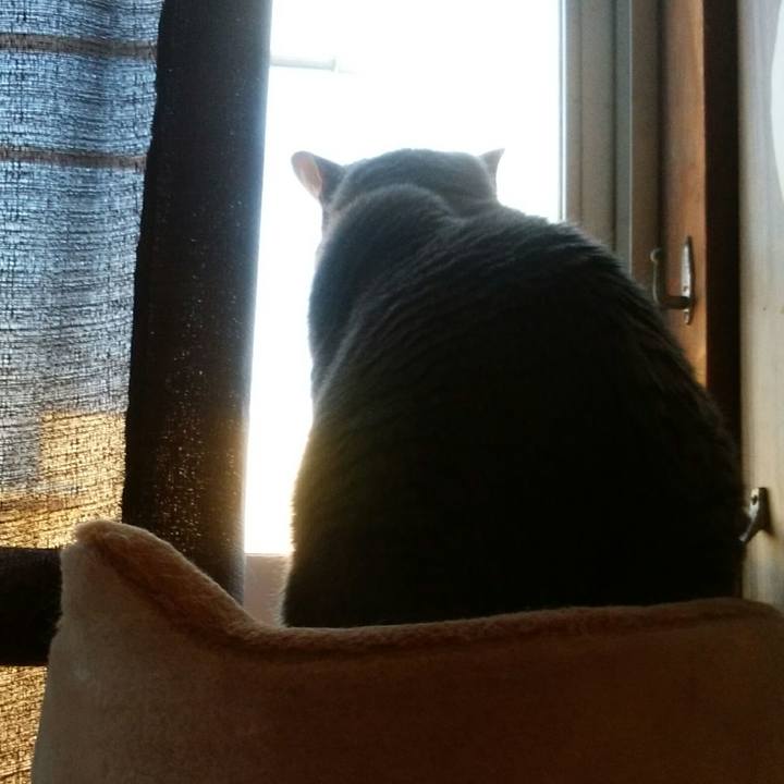 Ed74a8c3 b483 4b3e a9ad dcf2e0ed8072 1587199543342