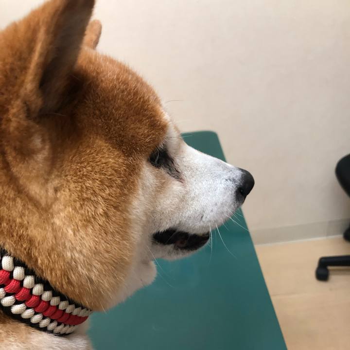 Ed74b90a 5370 43b3 8538 51204dd6e756 1594726894263