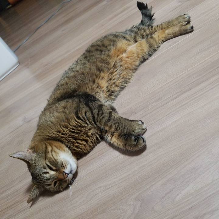 Ed7511e9 cc5a 4fd8 a1dc 933438942933 1582580272041