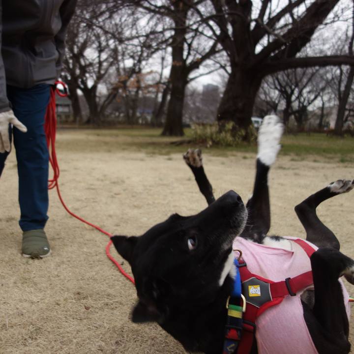 Ed752395 fe7f 4875 a8e6 e598bdea1695 1677116737188