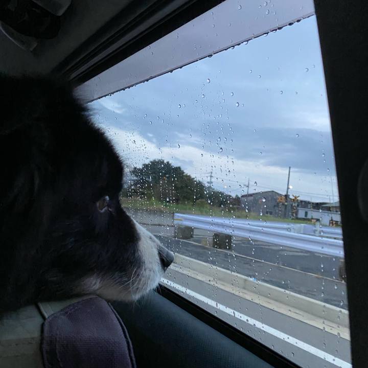 Ed75256c 5fd9 488b a681 fa93e4d4b25d 1669759323664