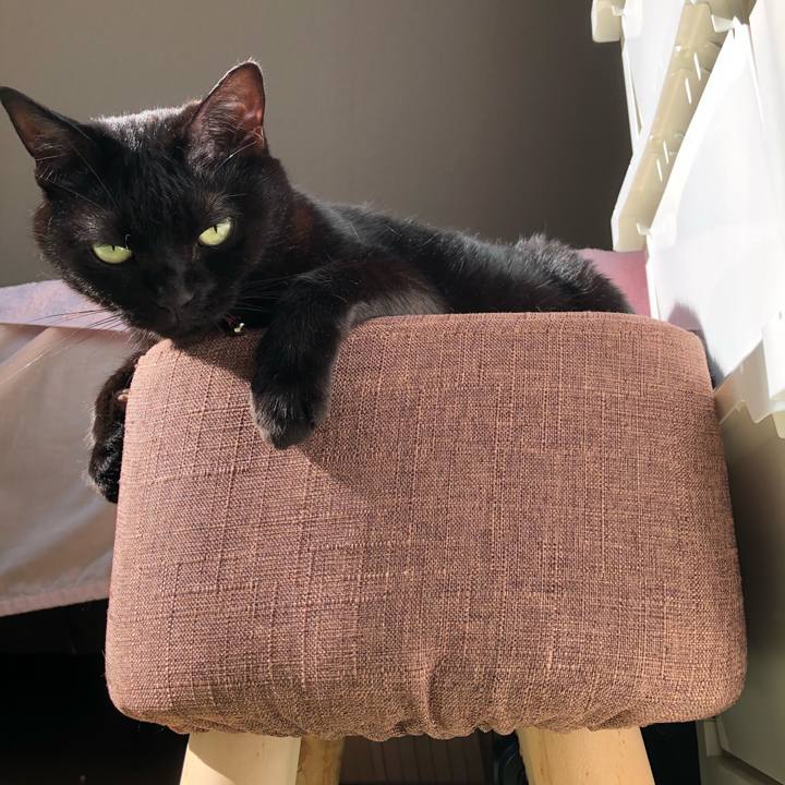 Ed754a3b 1c11 4167 9c16 6bdafd8e425e 1626128698910