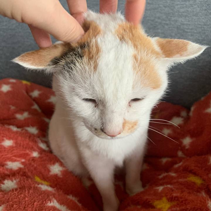 Ed75502e 9743 4e4b bc04 21d2fd9d216b 1620095126474