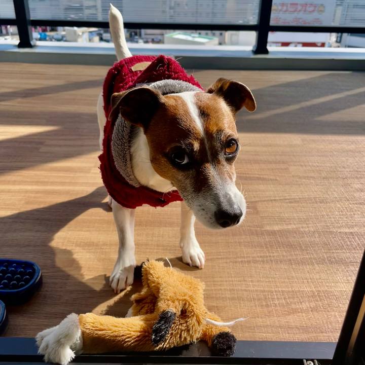 Ed757303 5e6d 4b08 b62a c013fd307204 1739324740182