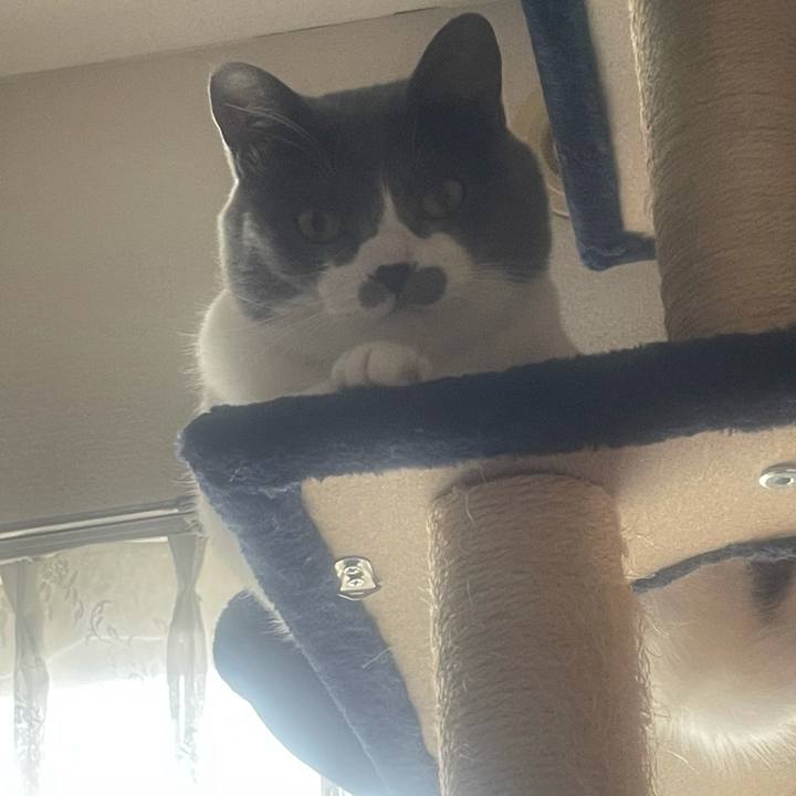 Ed75b83d 68e3 4323 a310 3988a57acf81 1644189915588