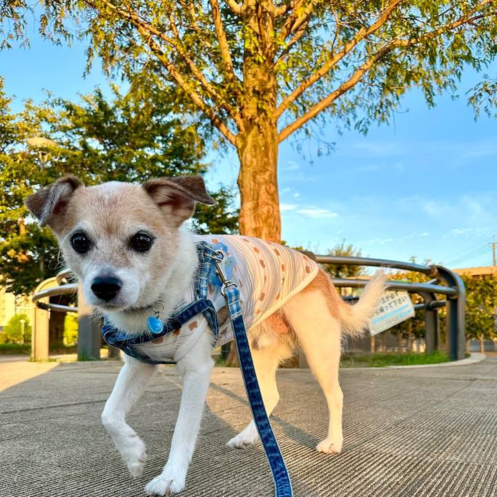 Ed75d16c 7381 4341 b410 5d7845a93663 1693519809546