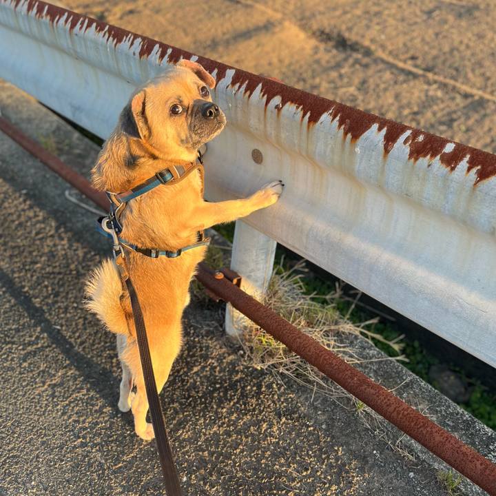 Ed75d58a b202 4391 946f 16acfb9faf55 1762778657516