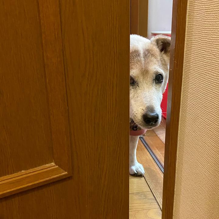 Ed76078d 8c09 4007 b9b3 66bdf5022540 1701550175127