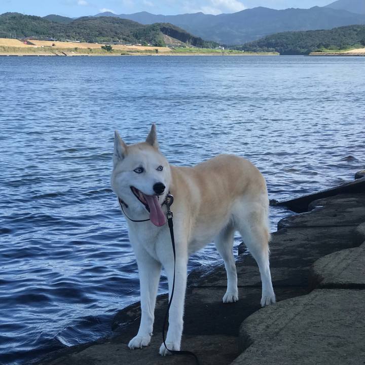 Ed761080 0cd0 4131 875a 0549e355765b 1726820571192