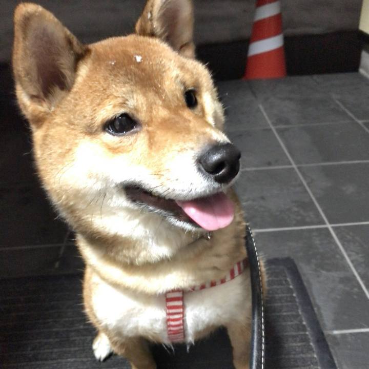 Ed761725 7314 4024 96a7 4b4f8dc4149f 1519117480981