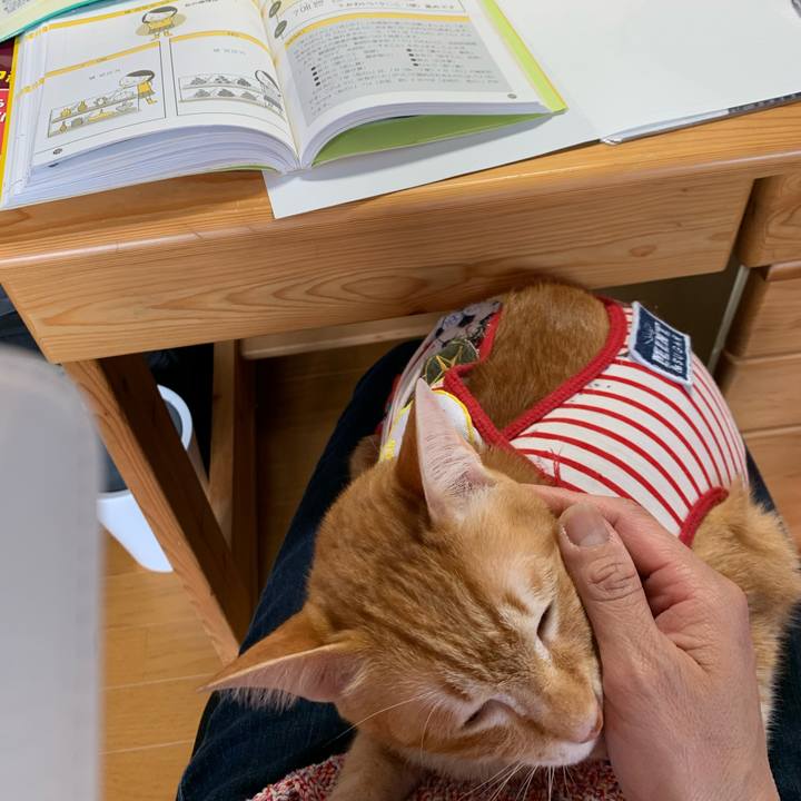 Ed762265 478b 42c0 8cfc 069ae470fb93 1587262340932