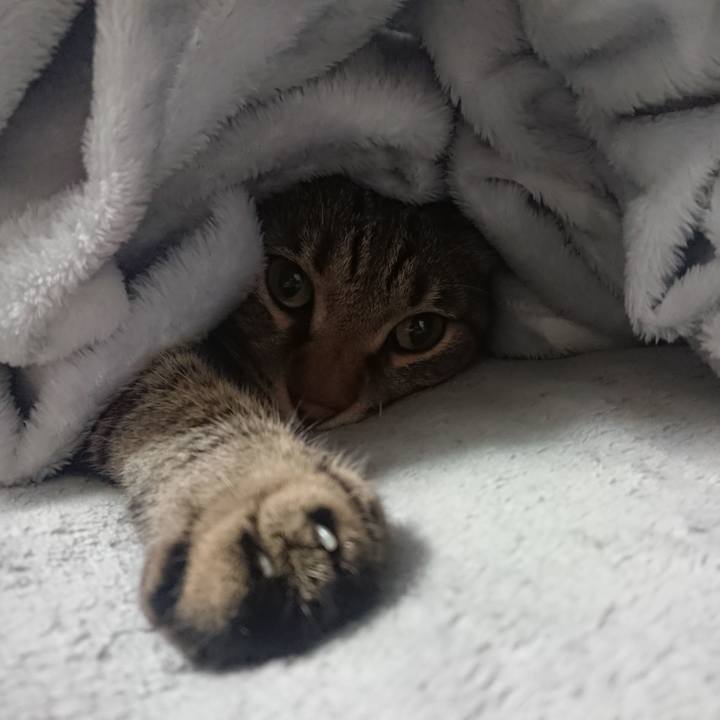 Ed76897f 8f20 4147 9684 63bbc975248a 1571787483121