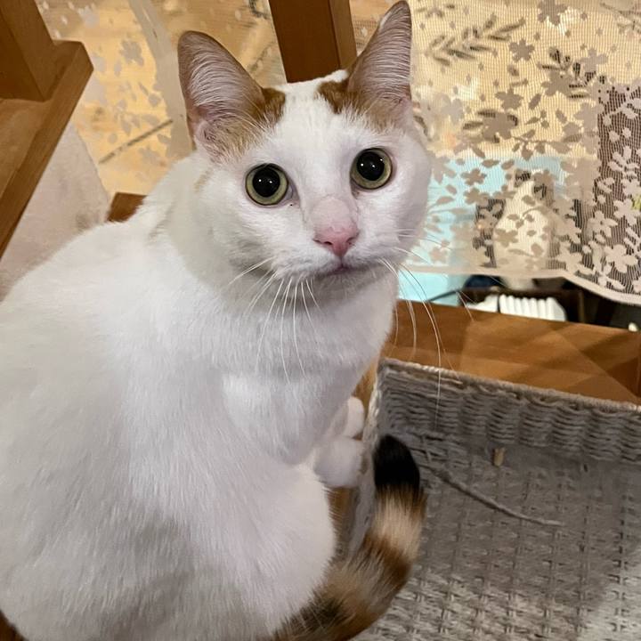 Ed76b0fe 7a3c 4360 9b36 68cfc1a0565d 1765276983505