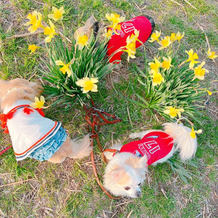 Ed775ea7 30d5 4820 b1a5 c3b74eeecd62 1648204282150