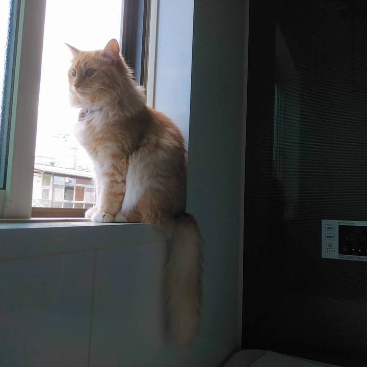 Ed776021 391e 448f 994c 32f289a3dbf6 1659153634285