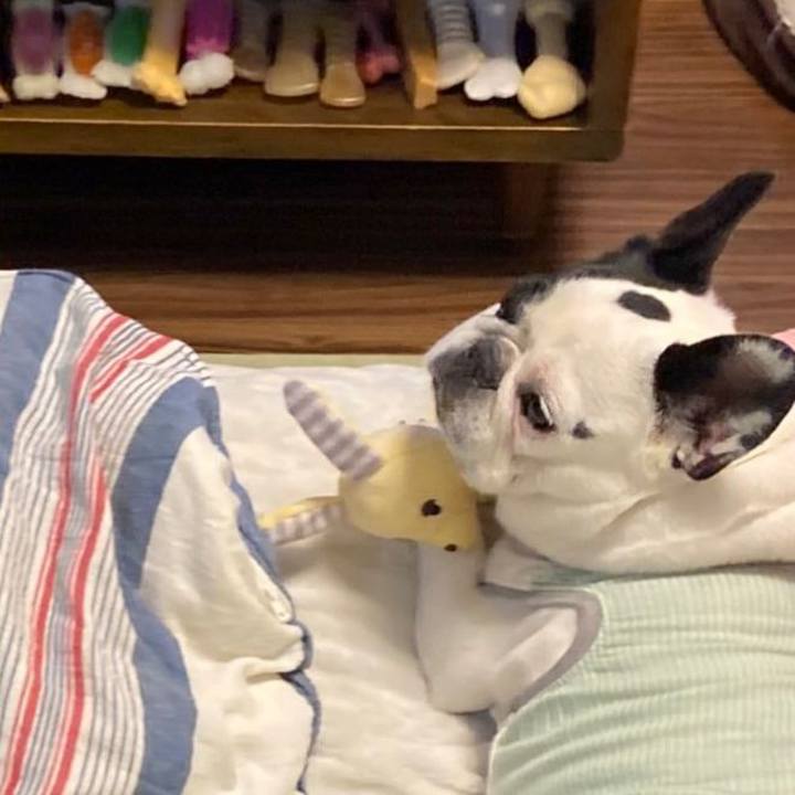 Ed77a1be def1 426e 8b3b ff3d8cb623ea 1635512195149