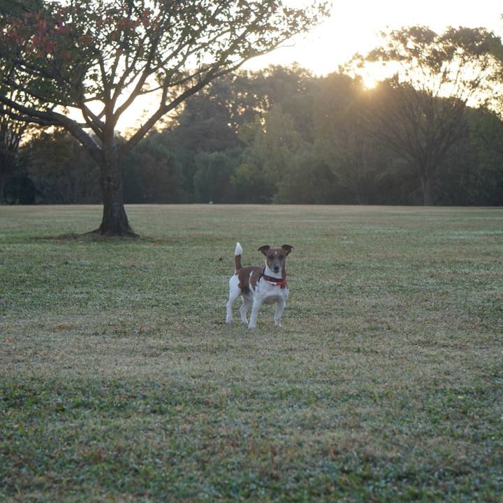 Ed77cfdd 28ff 40be 9020 9dcf429693d1 1574204525046