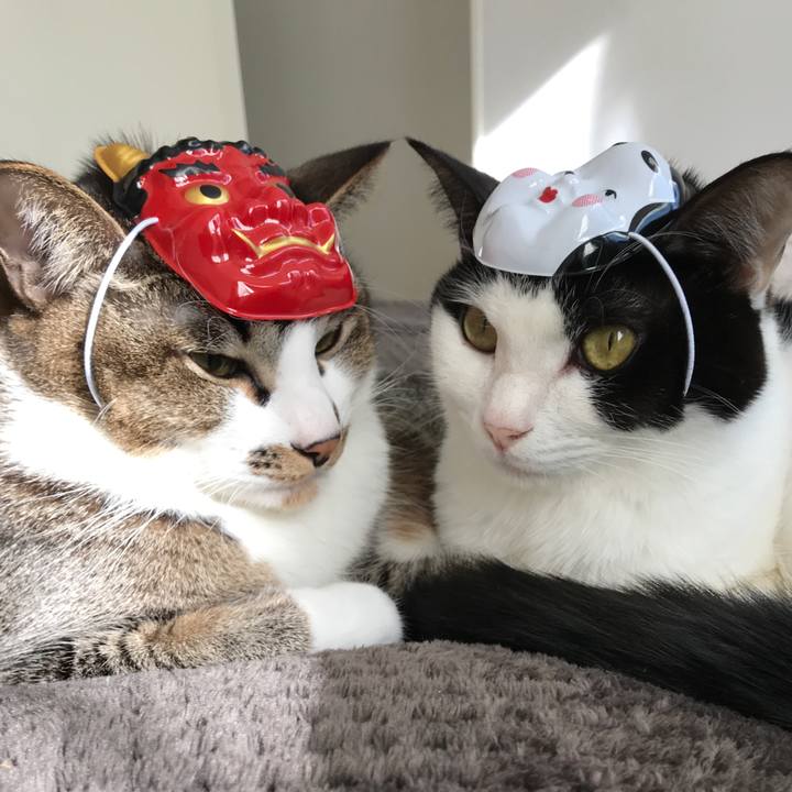 Ed77ed5e 50a6 4a7d 9d57 4cc1ac90f792 1549179539565