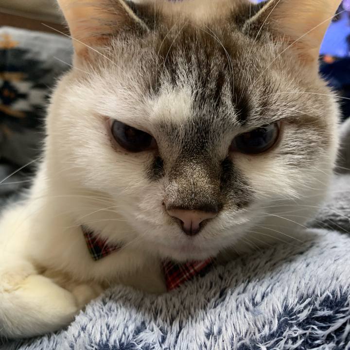 Ed77ed92 c872 4c83 bab2 20a5d8314e39 1579927364611