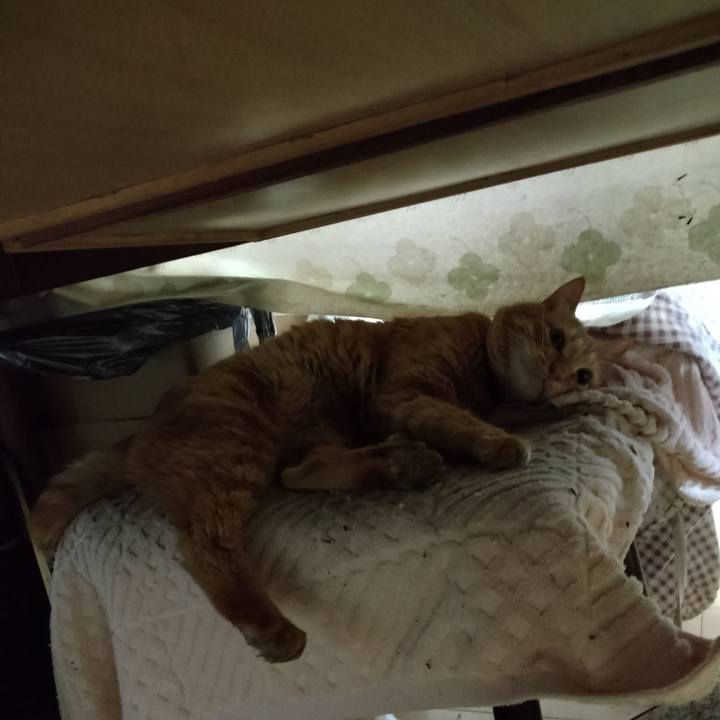 Ed7862c5 07da 436c 8645 faa44e537eab 1670886314413