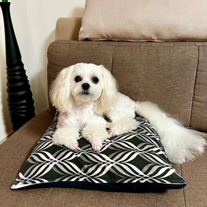 Ed78b0a3 4e08 4bda a0a2 5b117e84fdaf 1661310653828