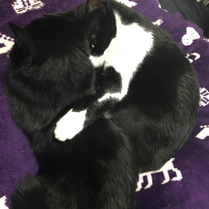 Ed790500 8c3d 4819 8fb9 ac8fc0d47403 1589098728688