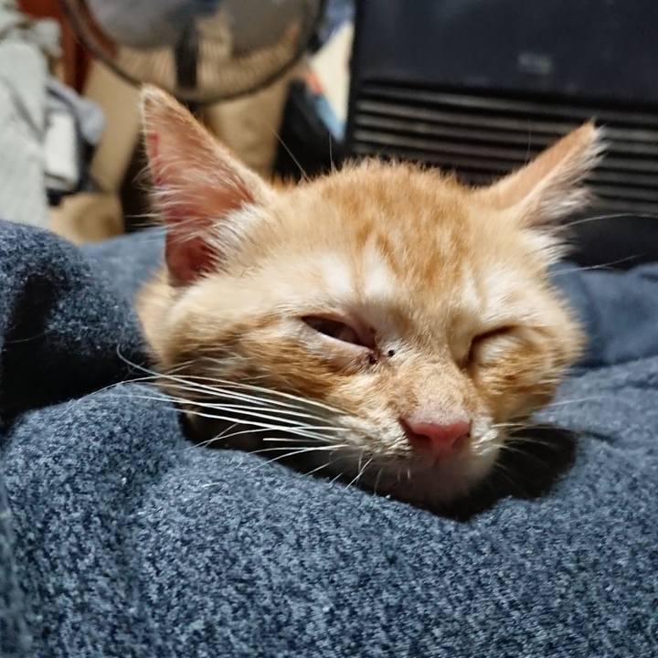 Ed79196b b8fe 45f0 b929 7547b595ec38 1629895376977