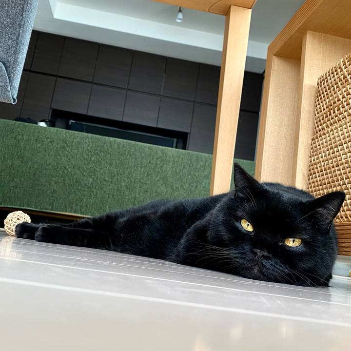 Ed7920e6 1016 46ab a97a 7aaaabcbcdbe 1722568557349