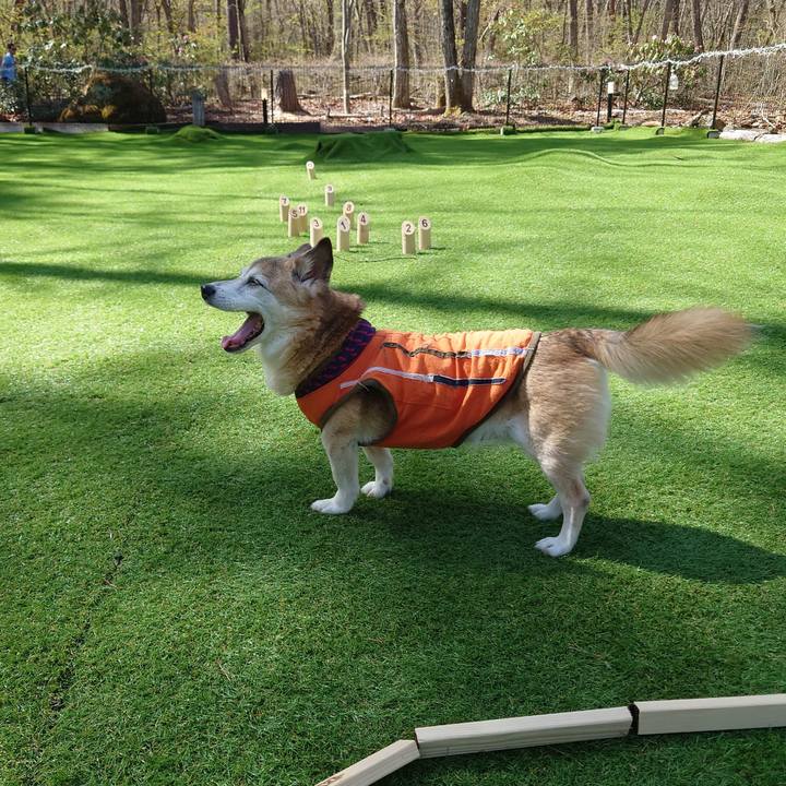 Ed79449d 1ccd 49cd a25f 74eff33d732f 1714790534114