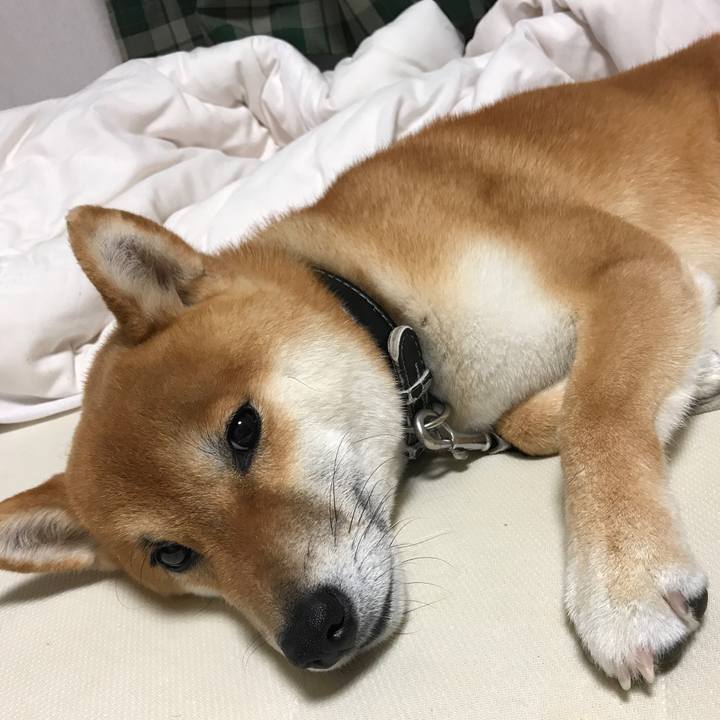 Ed795796 585a 4ce6 95e8 47ccc9c7ccbe 1528807953409