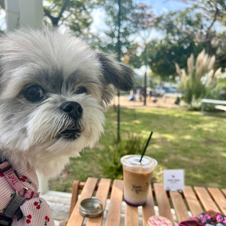 Ed7997c8 c1e3 4af1 bde8 5ba23e648dd6 1730021362953