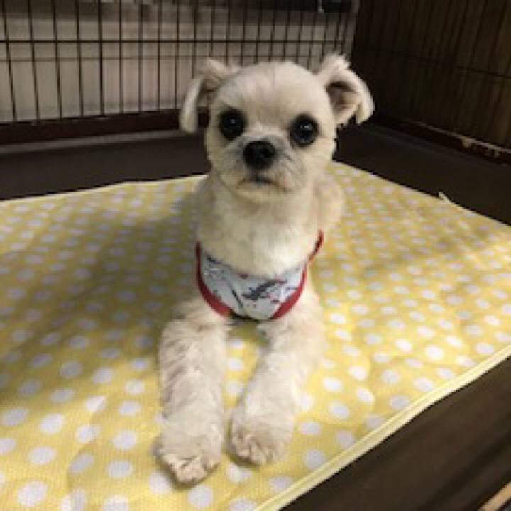 Ed79cb83 b136 467f 9eca ec3bfa31332d 1550572090859