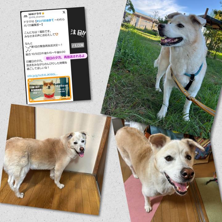 Ed7a0345 8b95 4000 ab4b 1f7cc7e242e0 1759555697940