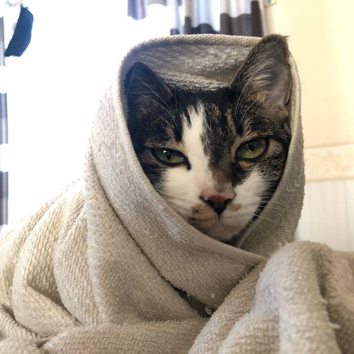 Ed7a1b24 2474 40f1 a268 767b9d0943ed 1612691005111