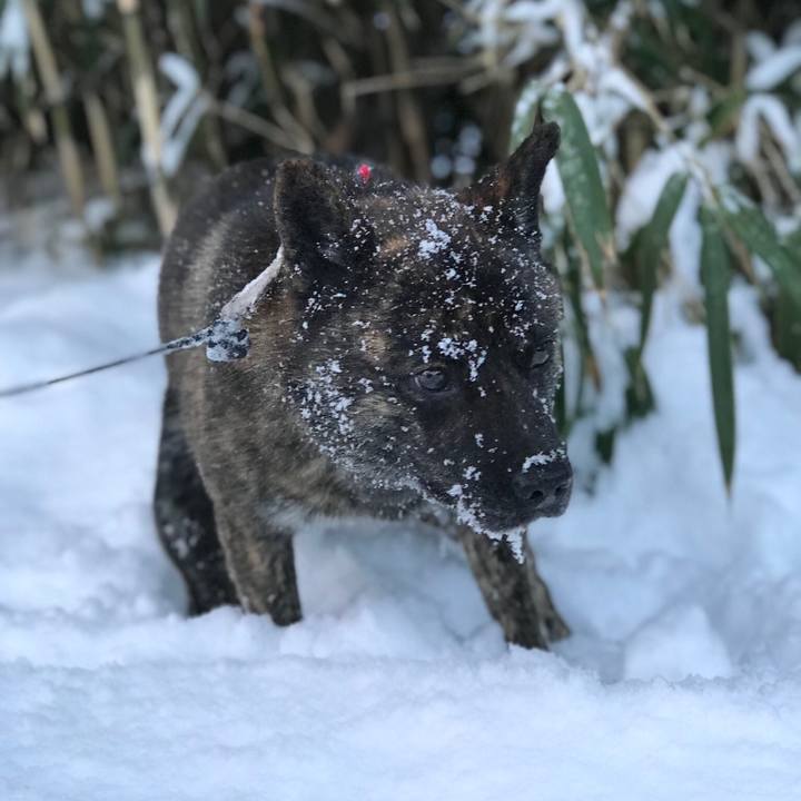 Ed7a24a3 bec4 472d 8e49 a2e4d49e51cc 1515725074990