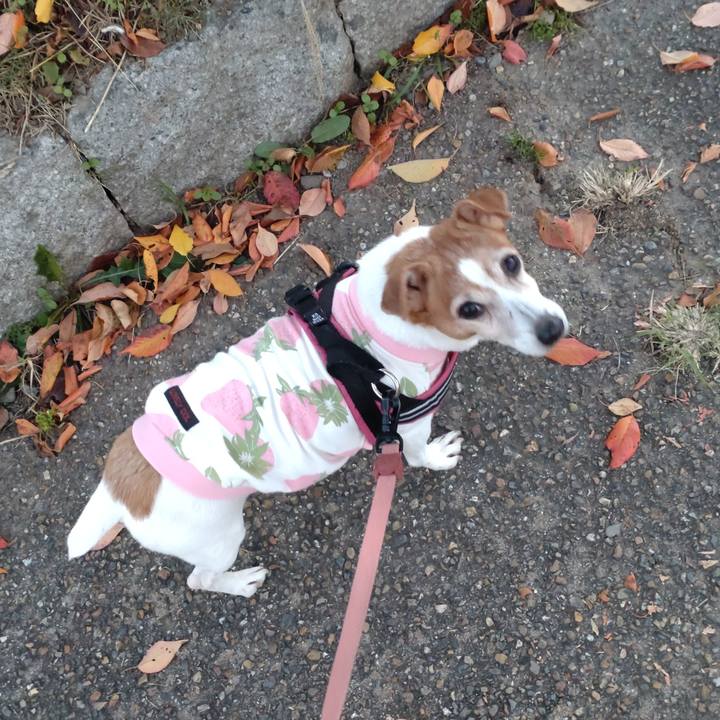 Ed7a259c d191 4b9a afd8 411d2f65b16d 1763282091345