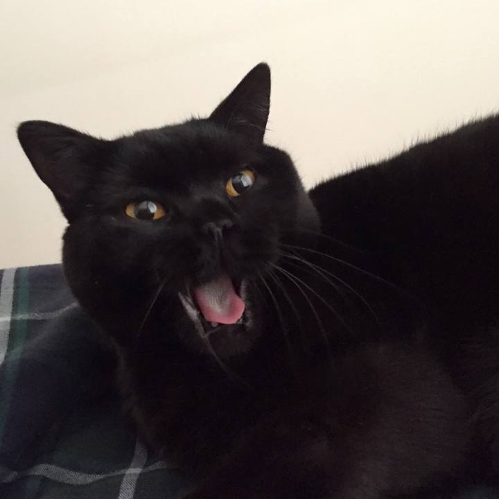 Ed7a6198 62b4 40a9 a3bb 1fb771bc7ea6 1576724215945