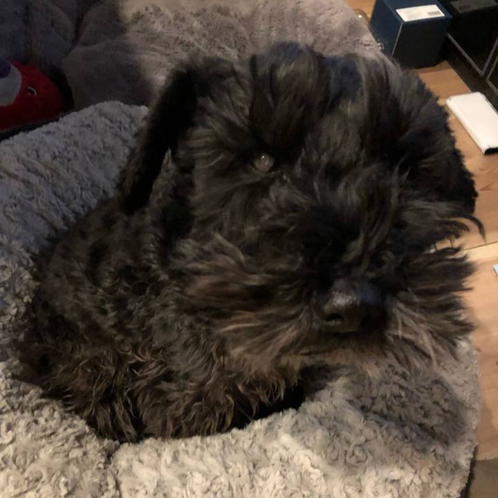 Ed7ac270 614a 4f73 b49c c1fccde83ff7 1547591514785