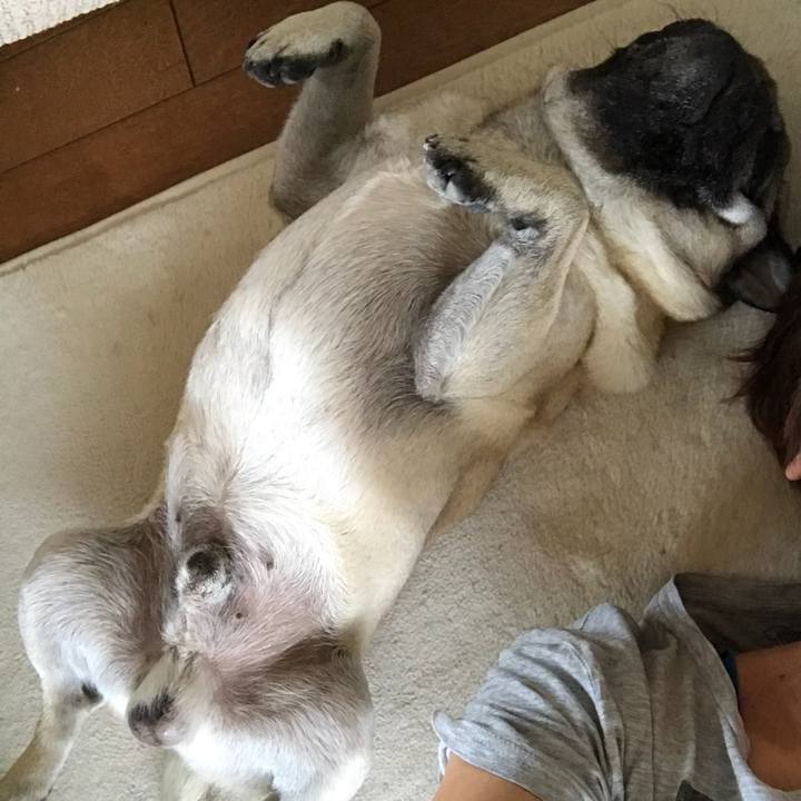 Ed7aed2c 3aab 458a a5d4 09679e6ba01b 1526721512957