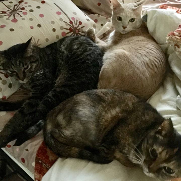 Ed7af4e6 85e3 4c59 8171 301ab4b2c5dc 1528792398412