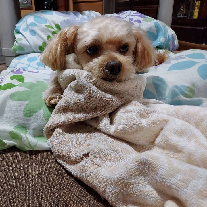 Ed7b2f49 dd1f 4694 b70c 89cf46d64924 1634126547705