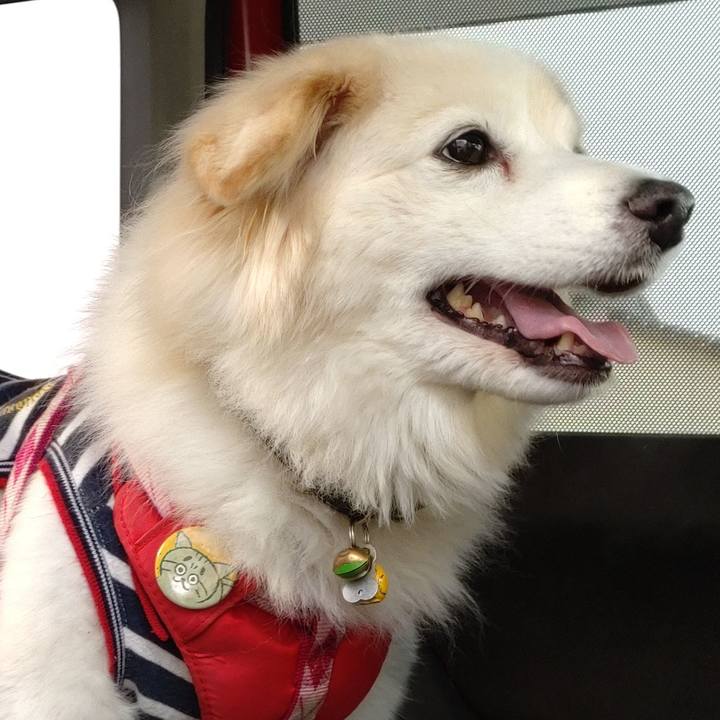 Ed7b4977 83b9 40fd bde3 a33163e09845 1642476773147