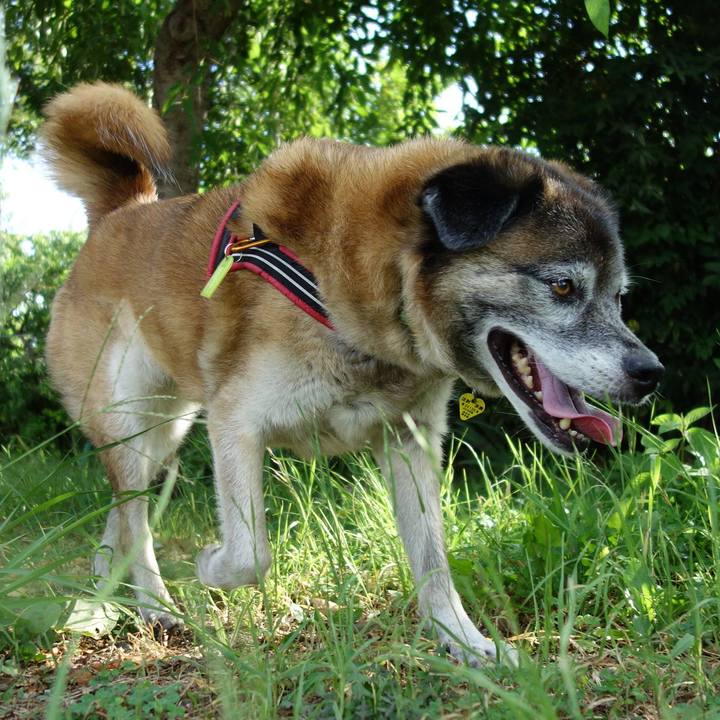 Ed7ba0e5 7297 4ff6 9886 d5b2c3efbee8 1565652105753