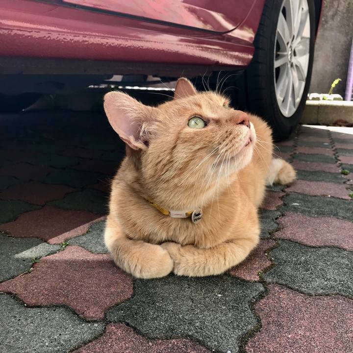 Ed7c26e2 c9e5 43f4 b9f2 4028cdf6f8e8 1523338202975