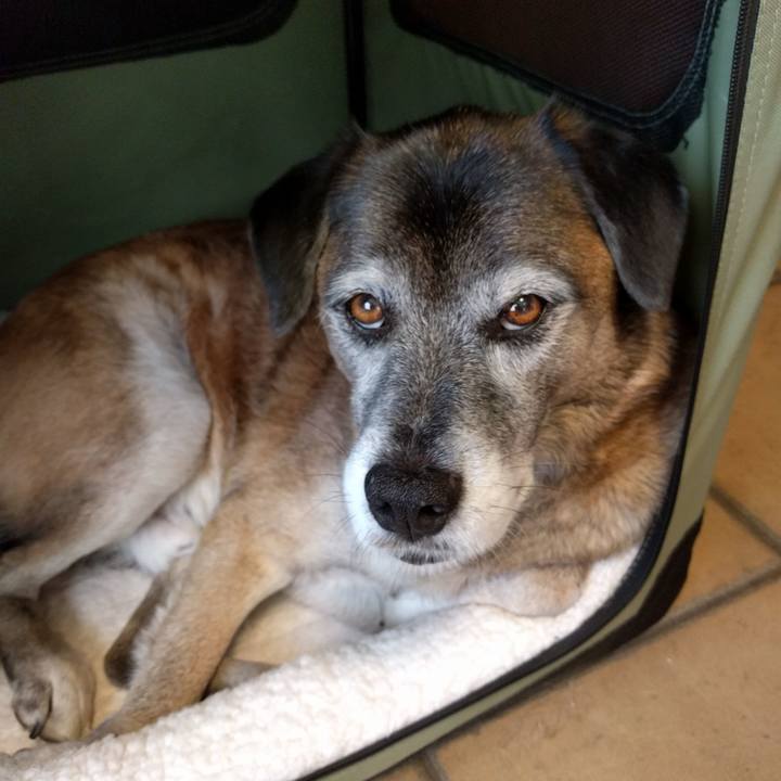 Ed7c40fd 5452 4e44 acc8 edb0bc035914 1543305872894