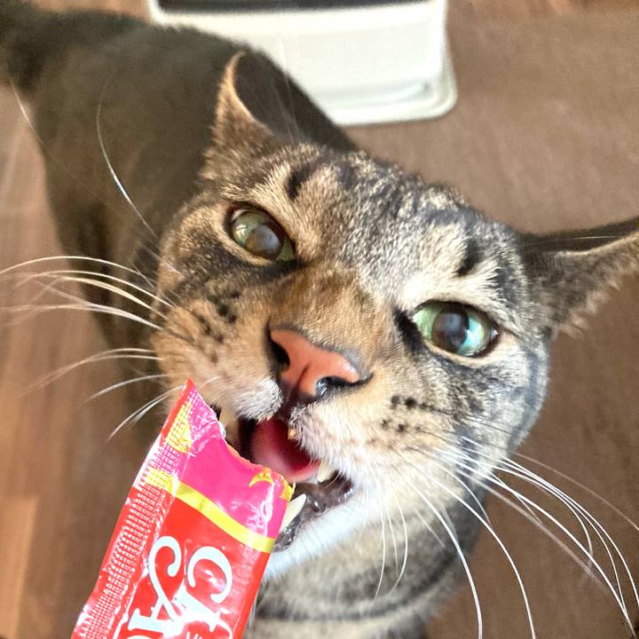 Ed7c4626 da34 458c 83a9 051818a7109d 1673759371474