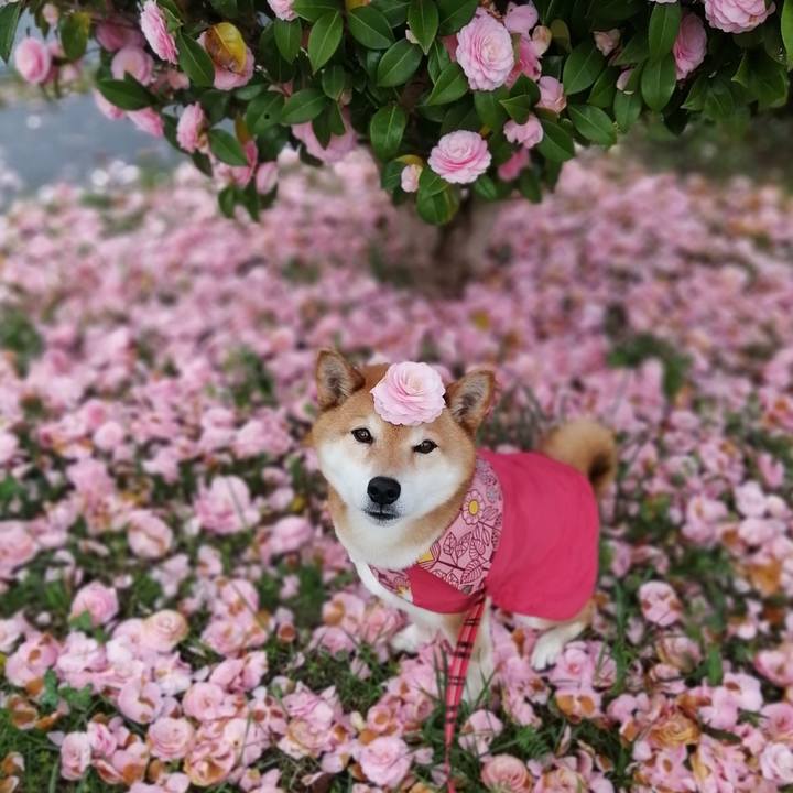 Ed7c4676 500f 41c4 97ee 30b50711d3fd 1679642775878